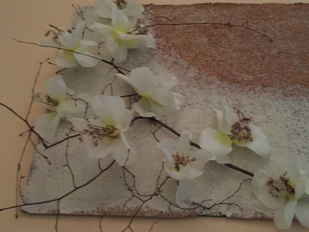Il Ghiretto Appartamento Riccò del Golfo di Spezia Quarto foto