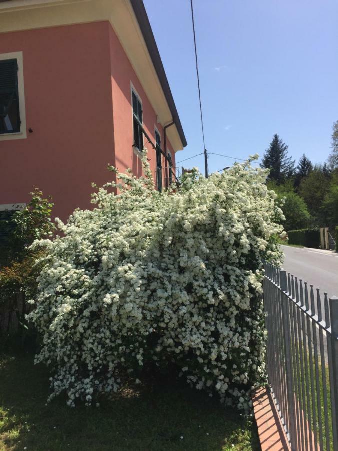 Il Ghiretto Appartamento Riccò del Golfo di Spezia Exterior foto