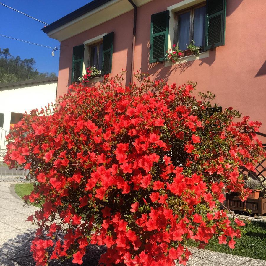 Il Ghiretto Appartamento Riccò del Golfo di Spezia Exterior foto